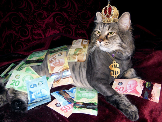 The Psychology of Wealth: Understanding Behavioral Finance